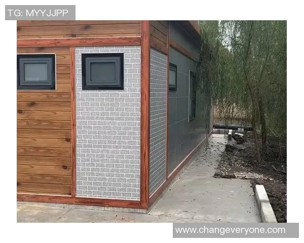 重庆排球队的节奏打法深度解析与战术优势探讨