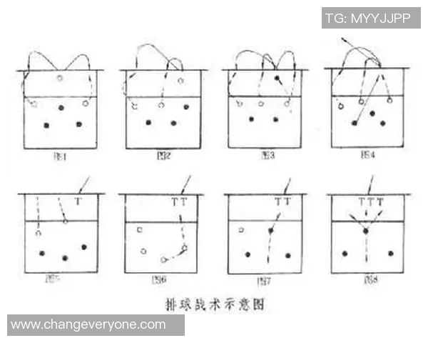 重庆排球队在城市联赛中的速度优势与战术解析