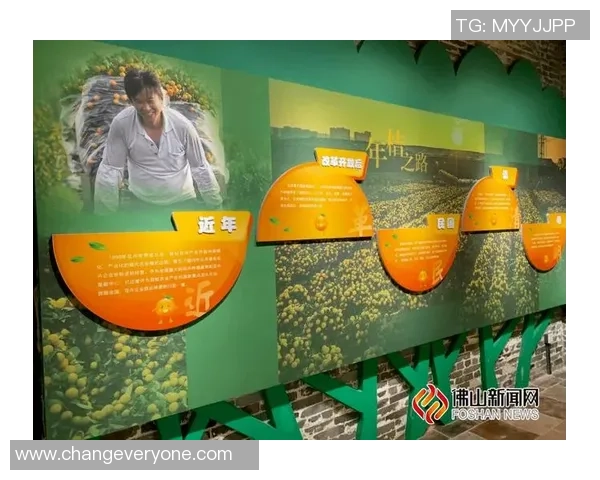 重庆排球队的崛起之路:世锦赛背后的奋斗与荣耀 重庆排球队的崛起之路:世锦赛背后的奋斗与荣耀